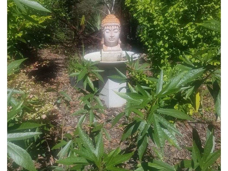 141 Arborthree Road, Glenwood QLD 4570