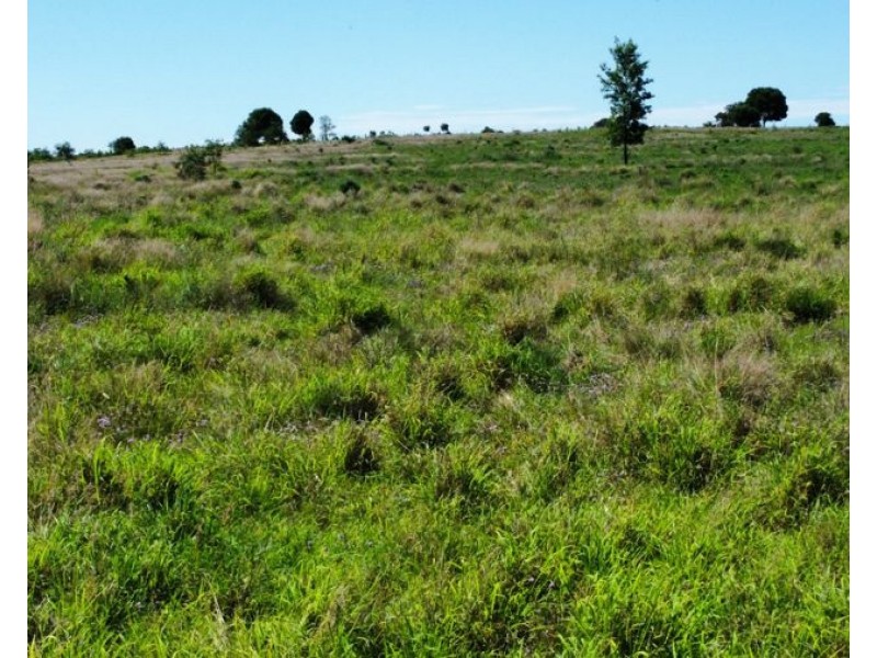 1496 Murgon Gayndah Road, Cloyna QLD 4605