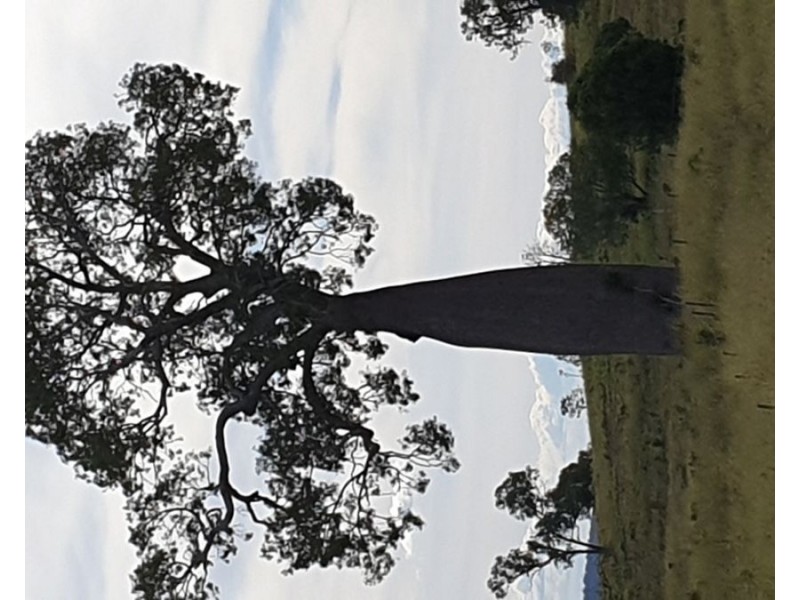 1496 Murgon Gayndah Road, Cloyna QLD 4605