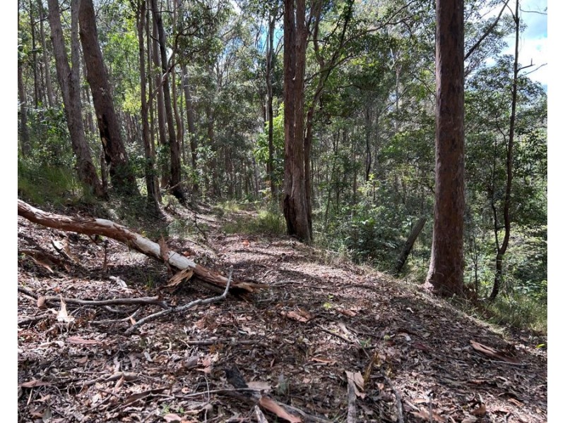 Lot 4 Goodyear Road, Cedar Pocket QLD 4570