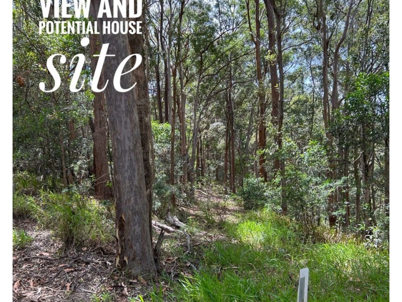 Lot 4 Goodyear Road, Cedar Pocket QLD 4570