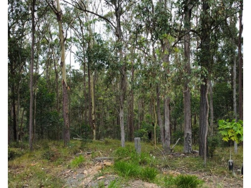 Lot 4 Goodyear Road, Cedar Pocket QLD 4570