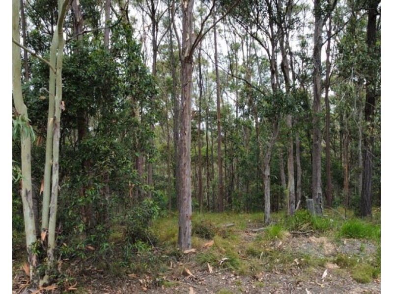 Lot 4 Goodyear Road, Cedar Pocket QLD 4570