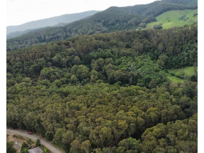Lot 4 Goodyear Road, Cedar Pocket QLD 4570