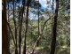 Lot 4 Goodyear Road, Cedar Pocket QLD 4570
