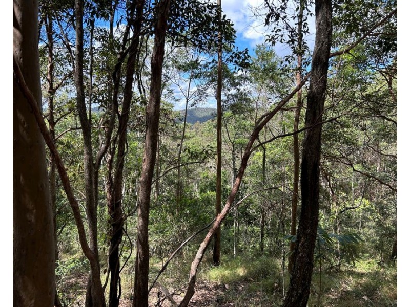 Lot 4 Goodyear Road, Cedar Pocket QLD 4570