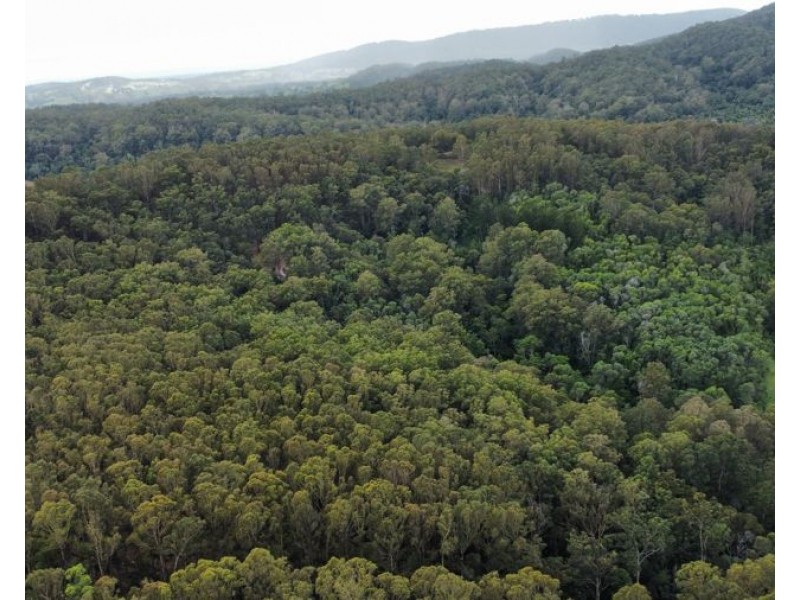 Lot 4 Goodyear Road, Cedar Pocket QLD 4570