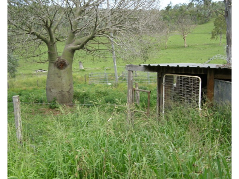 Tansey QLD 4601
