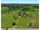 Tansey QLD 4601
