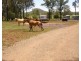 0 Fairdale Road, Mp Creek QLD 4606