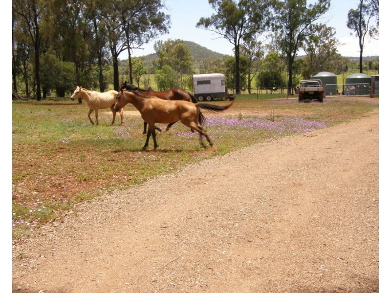 0 Fairdale Road, Mp Creek QLD 4606