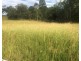 198 Arborthree Road, Glenwood QLD 4570