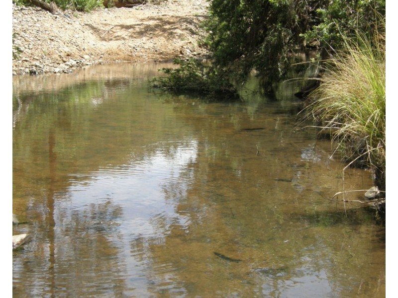 0 Cooke Road, Calgoa QLD 4570