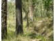 0 Cooke Road, Calgoa QLD 4570