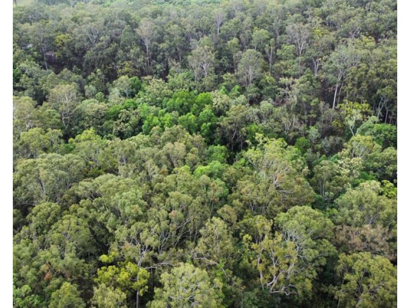 85 Counter Road, Wolvi QLD 4570