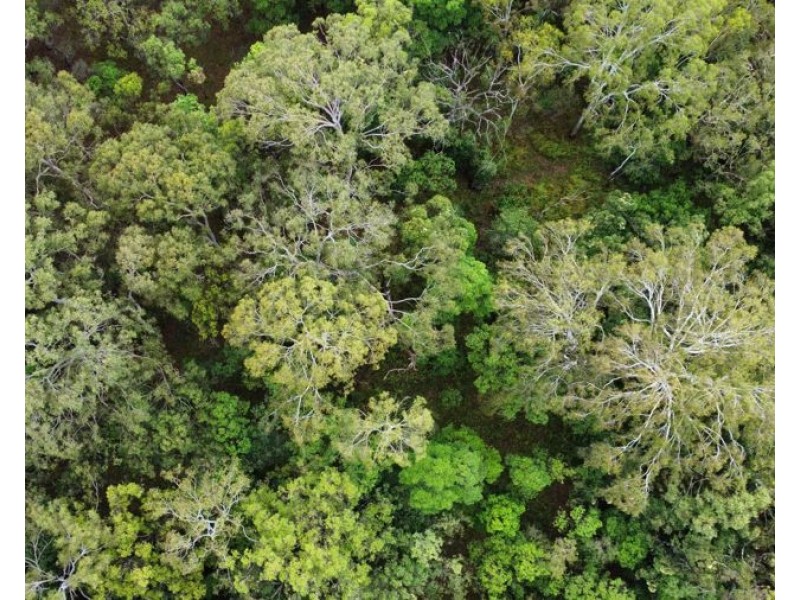 85 Counter Road, Wolvi QLD 4570