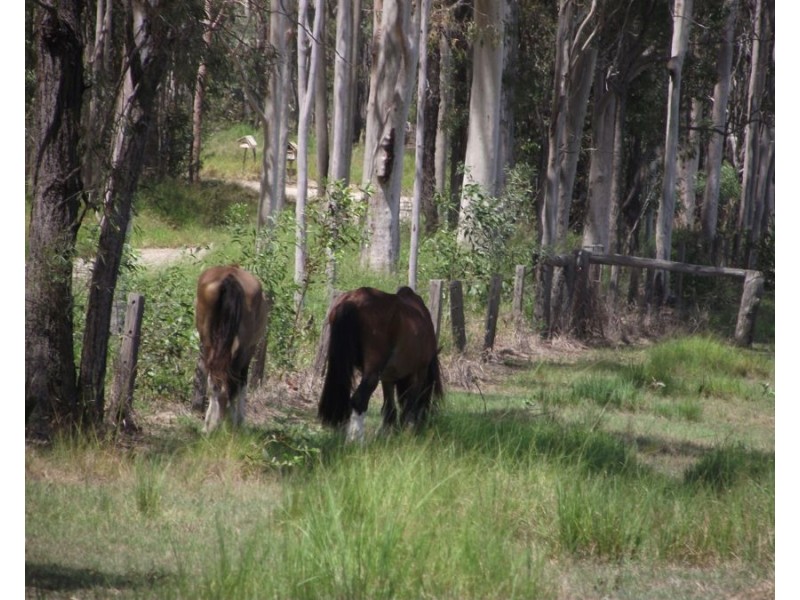 Anderleigh QLD 4570