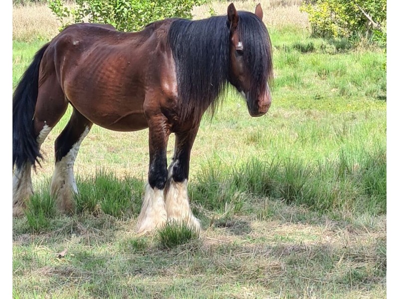 Anderleigh QLD 4570