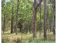 0 Tinana Road, Goomboorian QLD 4570