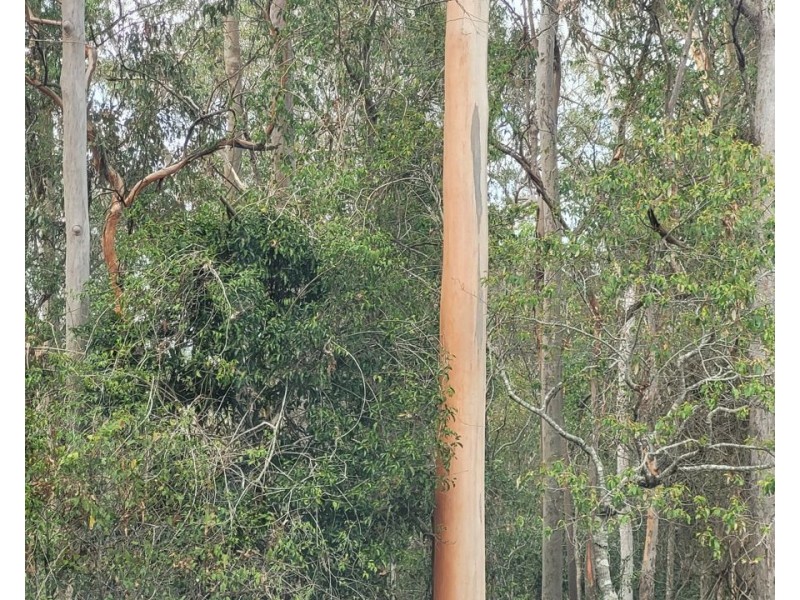 88 Highbury Lane, Chatsworth QLD 4570