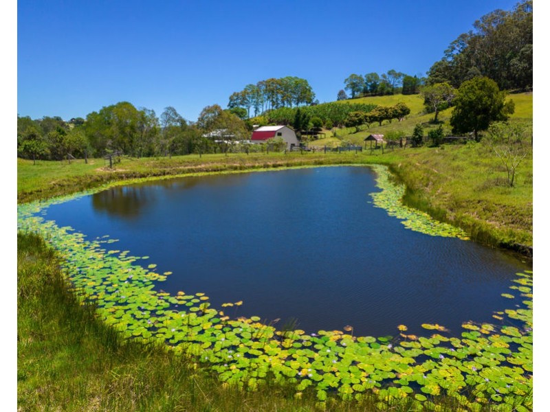 206 Treeby Road, Wilsons Pocket QLD 4570