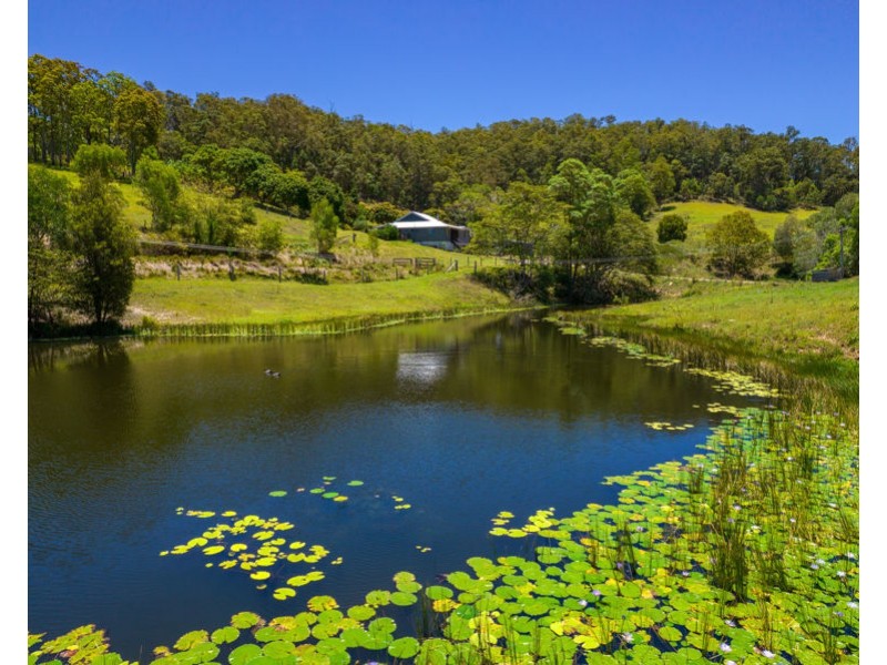 206 Treeby Road, Wilsons Pocket QLD 4570