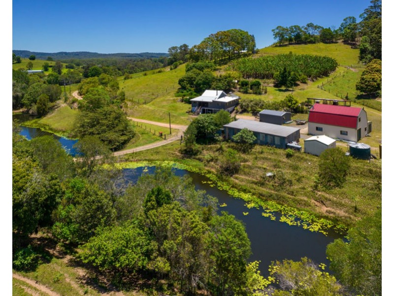 206 Treeby Road, Wilsons Pocket QLD 4570