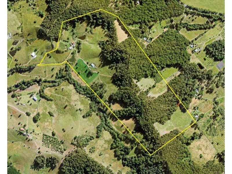 206 Treeby Road, Wilsons Pocket QLD 4570