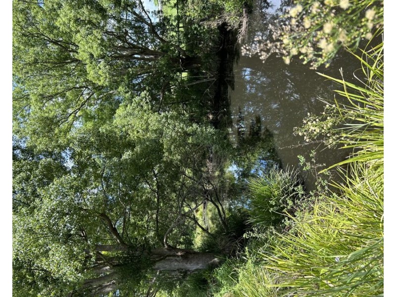 940 Eumundi Kenilworth Road, Belli Park QLD 4562