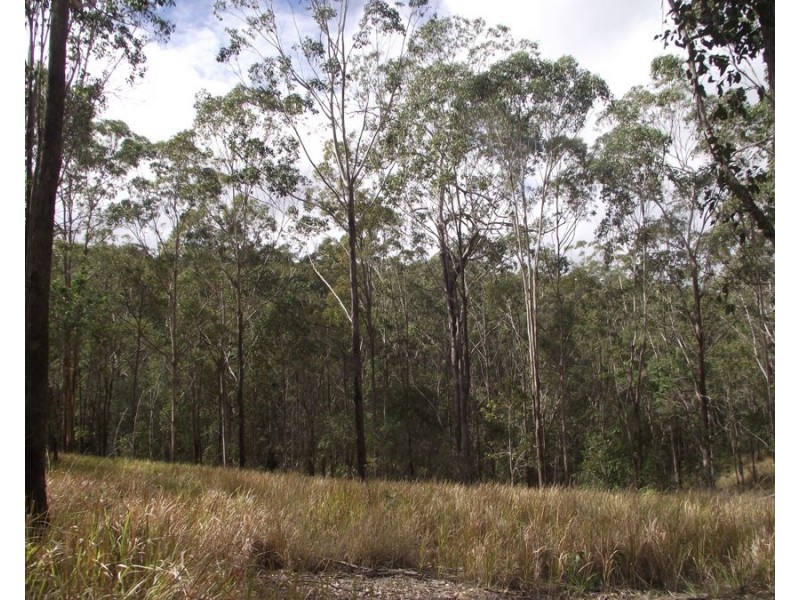 Stegemann Road, Upper Glastonbury QLD 4570