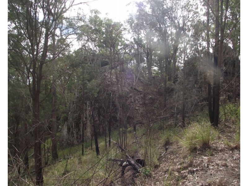 Stegemann Road, Upper Glastonbury QLD 4570