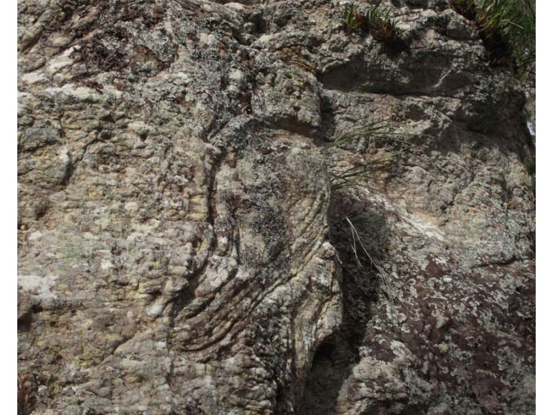 Stegemann Road, Upper Glastonbury QLD 4570