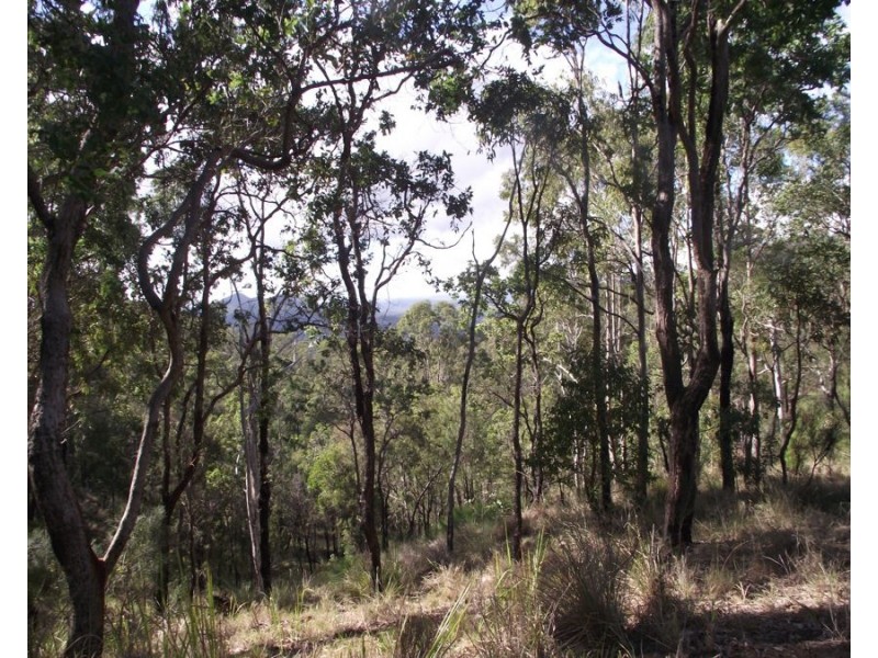 Stegemann Road, Upper Glastonbury QLD 4570