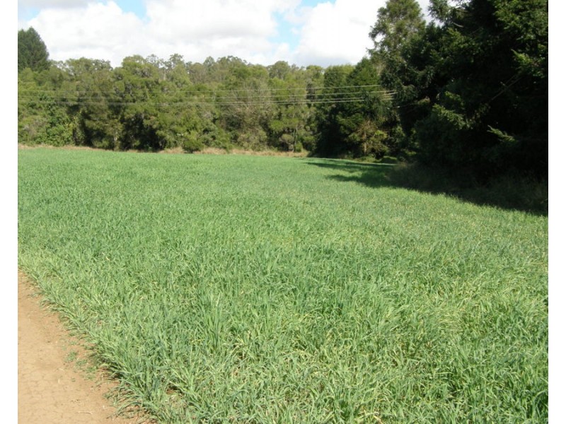 Long Flat QLD 4570