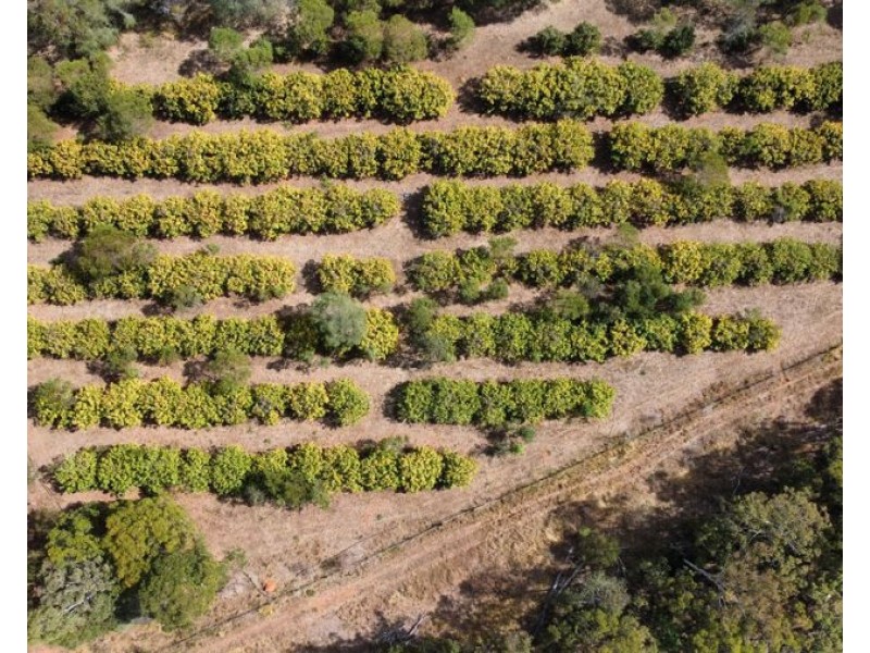 212 Stottenville Road, Bauple QLD 4650