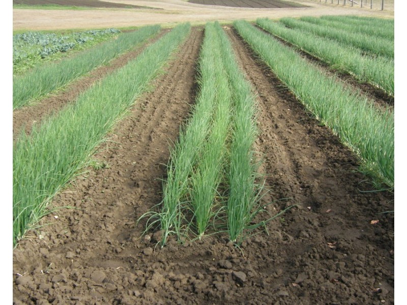 5919 Burnett Highway, Goomeri QLD 4601