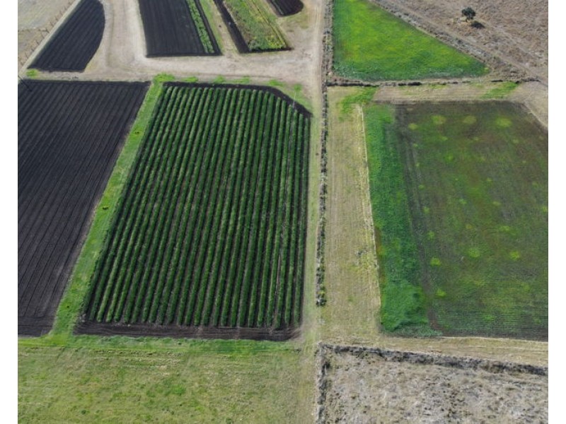 5919 Burnett Highway, Goomeri QLD 4601