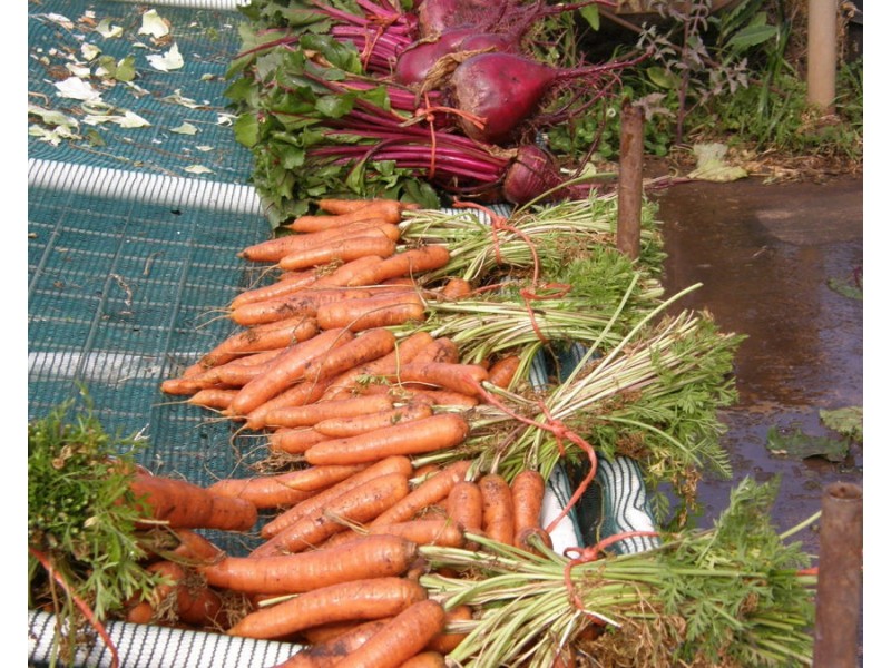 5919 Burnett Highway, Goomeri QLD 4601