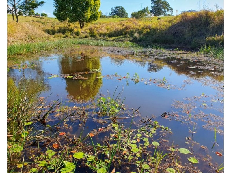 Lot 4 Kin Kin Road, Canina QLD 4570