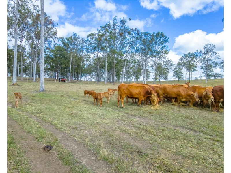 Lot 24 Biggenden Road, Yerra QLD 4650