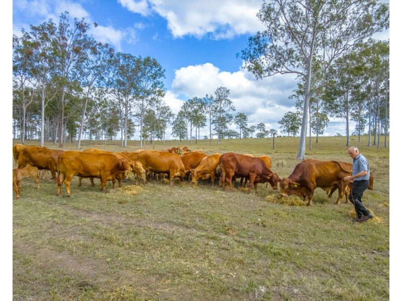 Lot 24 Biggenden Road, Yerra QLD 4650