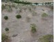 Oakview QLD 4600