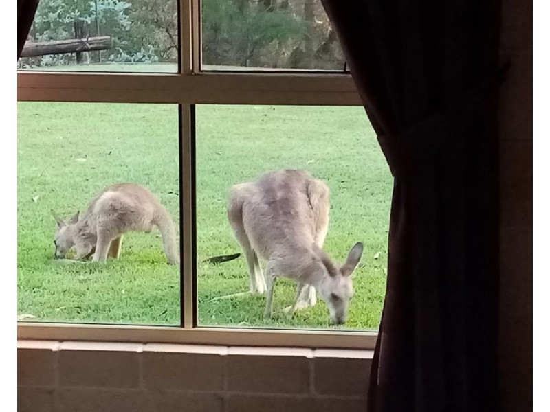 2 Abbott Road, Glenwood QLD 4570