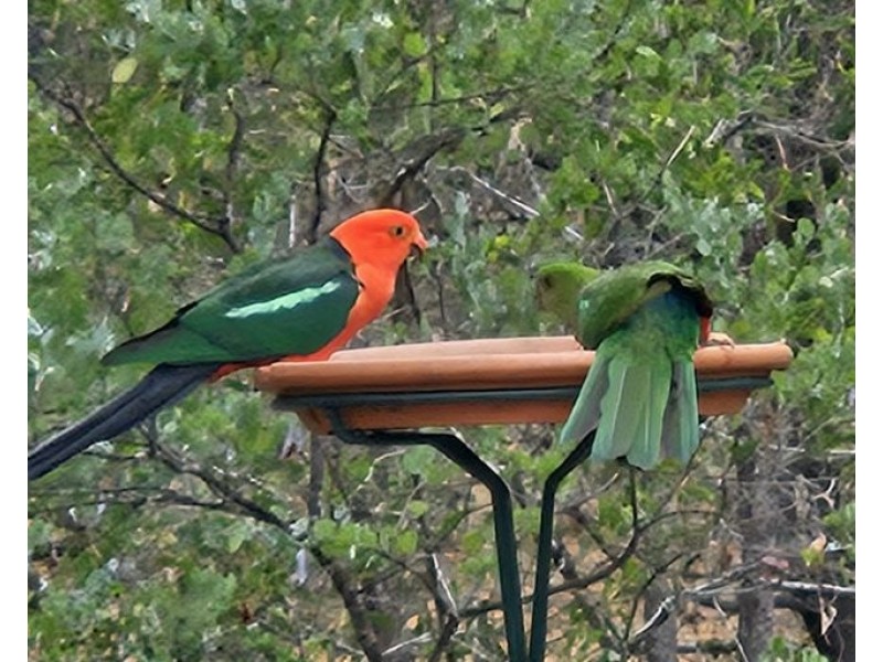 2 Abbott Road, Glenwood QLD 4570