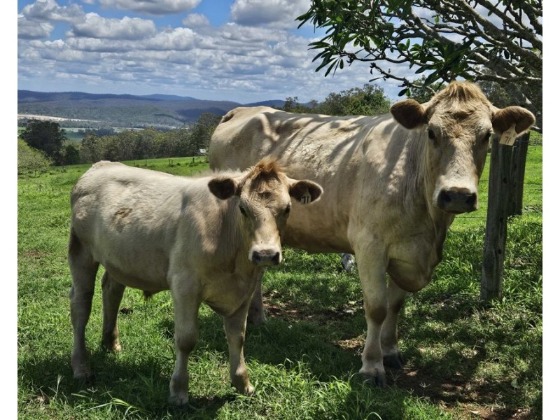 30 Gardners Lane, Curra QLD 4570