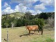 23 Highfield Drive, Chatsworth QLD 4570
