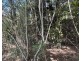 23 Highfield Drive, Chatsworth QLD 4570