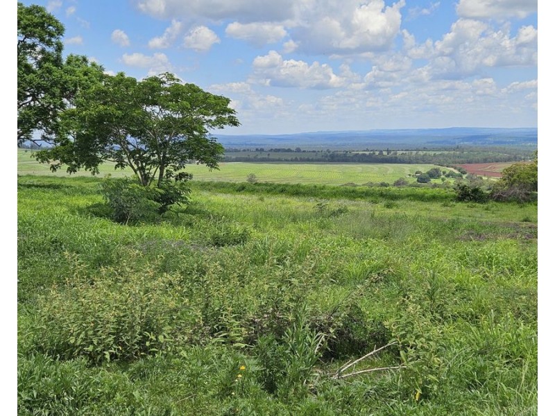 308 Bellottis Road, Tablelands QLD 4605