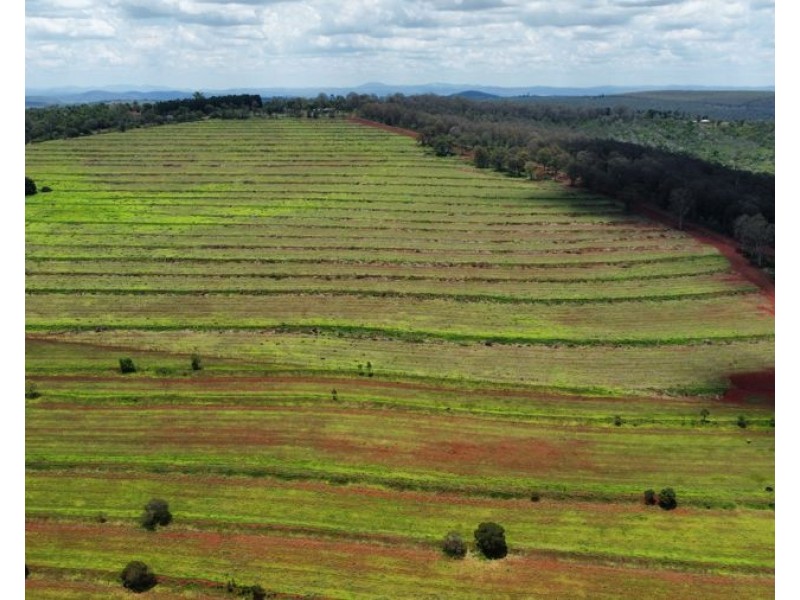 308 Bellottis Road, Tablelands QLD 4605