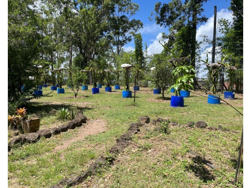 339 Nash Road, Tamaree QLD 4570